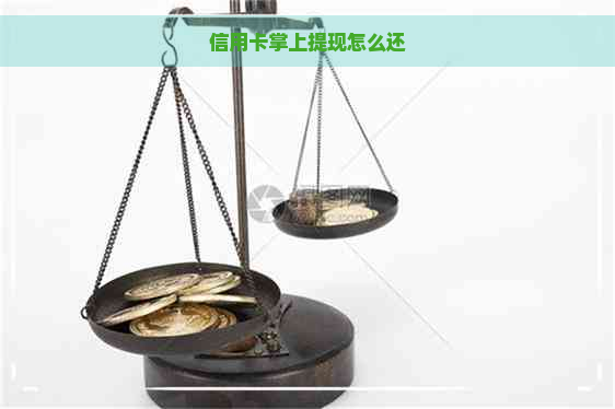 信用卡掌上提现怎么还