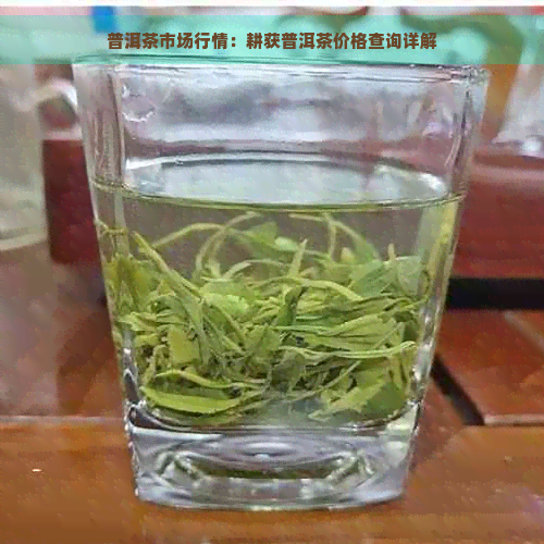 普洱茶市场行情：耕获普洱茶价格查询详解