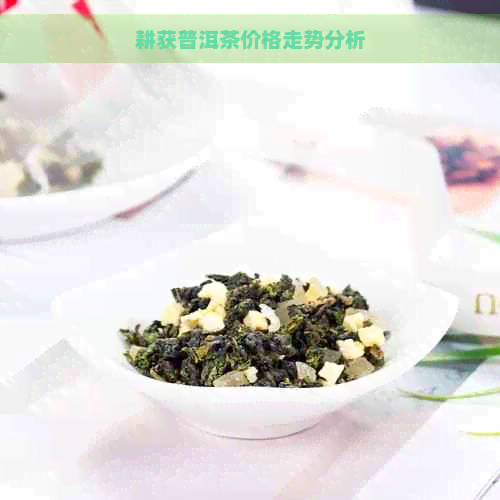 耕获普洱茶价格走势分析