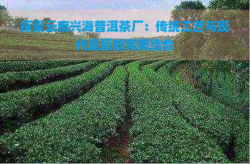 探索云南兴海普洱茶厂：传统工艺与现代品质的完美结合