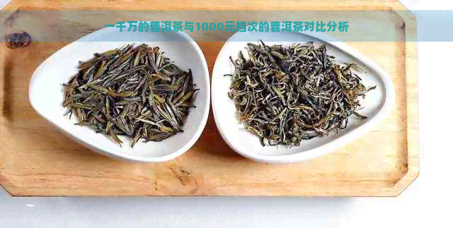 一千万的普洱茶与1000元档次的普洱茶对比分析