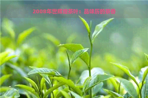 2008年世辉煌茶叶：品味历的茶香