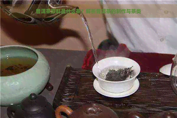 普洱茶原料是什么茶？解析普洱茶的制作与茶类