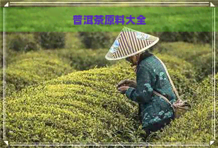 普洱茶原料大全