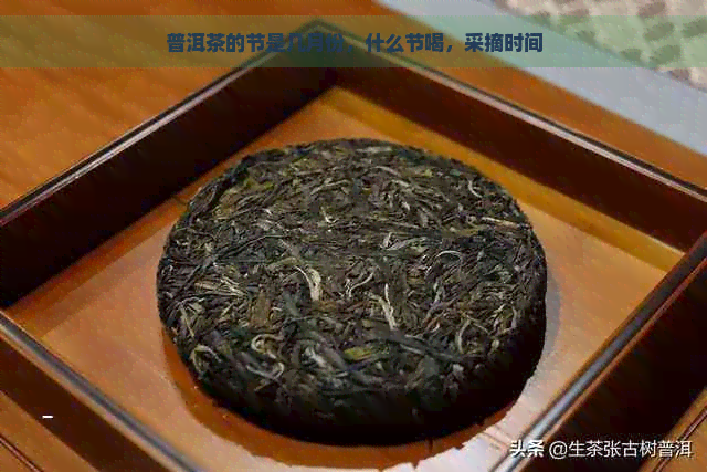 普洱茶的节是几月份，什么节喝，采摘时间