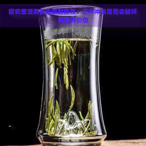 探究普洱茶益生菌耐热性：开水冲泡是否会破坏其营养价值