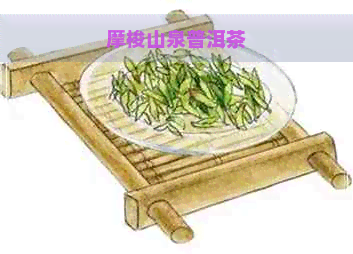 摩梭山泉普洱茶