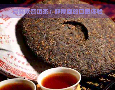 品味秋普洱茶：醇厚回的口感体验