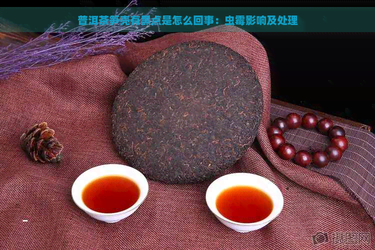 普洱茶笋壳有黑点是怎么回事：虫霉影响及处理