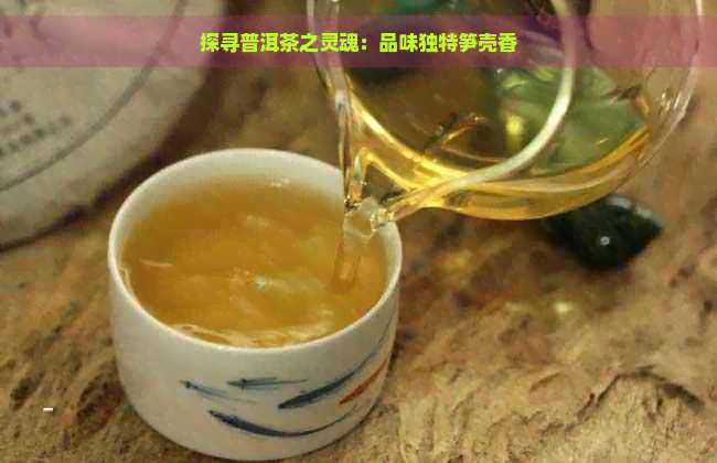 探寻普洱茶之灵魂：品味独特笋壳香