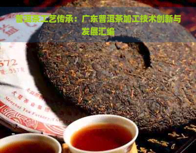 普洱茶工艺传承：广东普洱茶加工技术创新与发展汇编