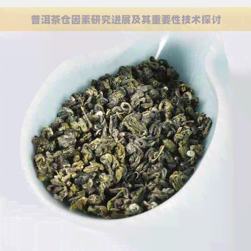 普洱茶仓因素研究进展及其重要性技术探讨