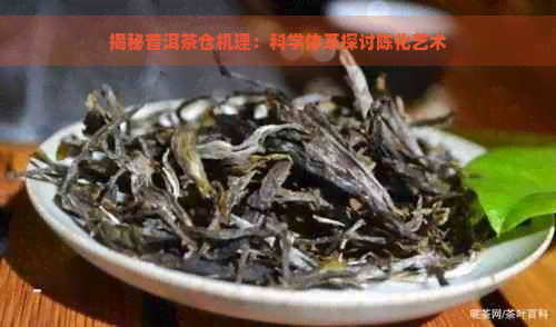 揭秘普洱茶仓机理：科学体系探讨陈化艺术