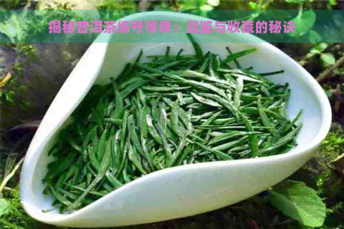 揭秘普洱茶编号等级：品鉴与收藏的秘诀