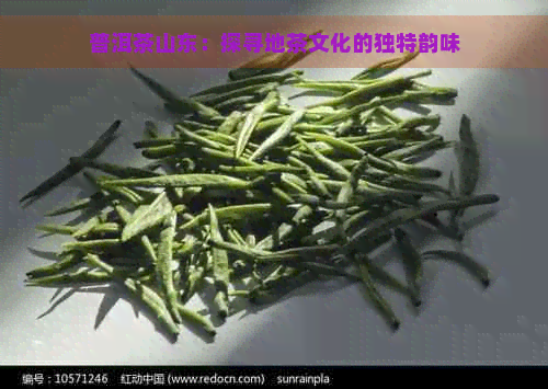 普洱茶山东：探寻地茶文化的独特韵味