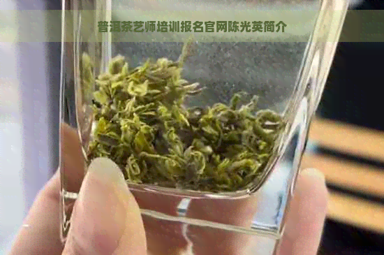 普洱茶艺师培训报名官网陈光英简介