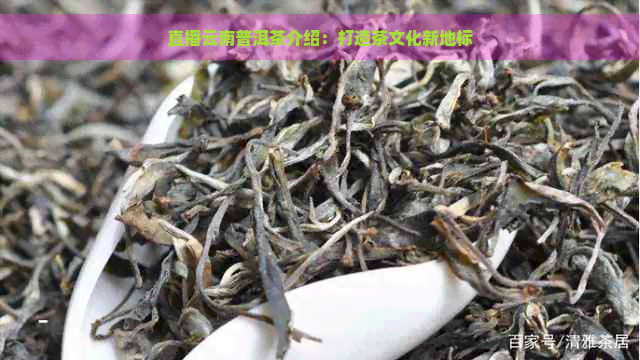 直播云南普洱茶介绍：打造茶文化新地标