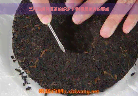 怎样肢解普洱茶的好坏:辨别品质优劣的要点