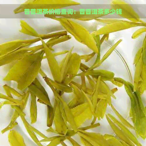 普普洱茶价格查询：普普洱茶多少钱