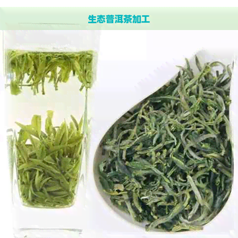 生态普洱茶加工