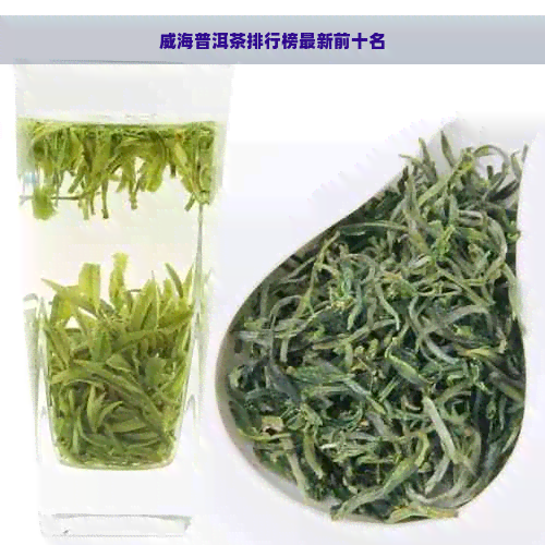 威海普洱茶排行榜最新前十名