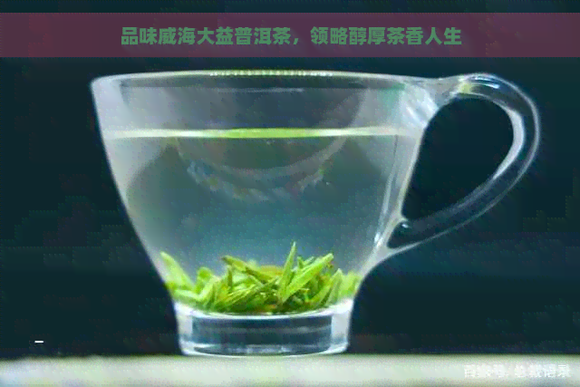 品味威海大益普洱茶，领略醇厚茶香人生