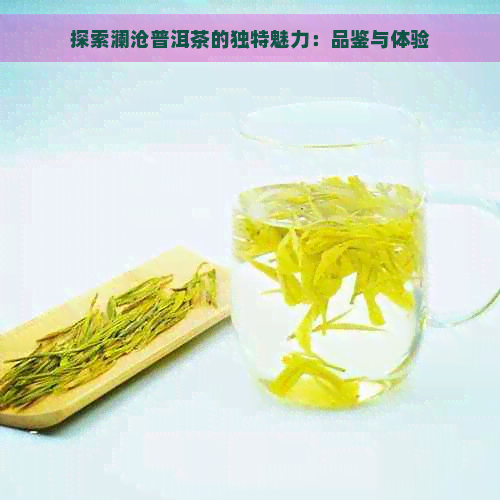 探索澜沧普洱茶的独特魅力：品鉴与体验