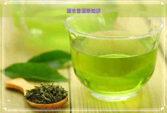 澜沧普洱茶知识