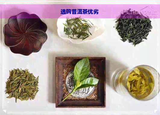 选购普洱茶优劣