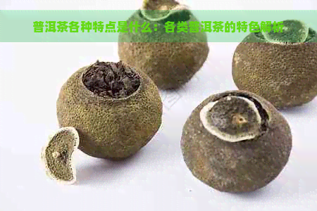 普洱茶各种特点是什么：各类普洱茶的特色解析