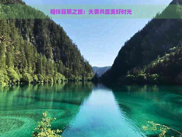 相伴昆明之旅：夫妻共度美好时光