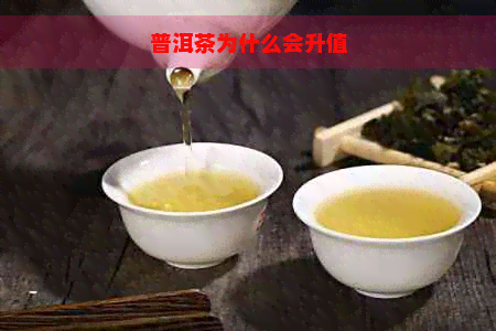 普洱茶为什么会升值