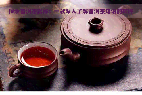 探索普洱茶奥秘：一款深入了解普洱茶知识的软件