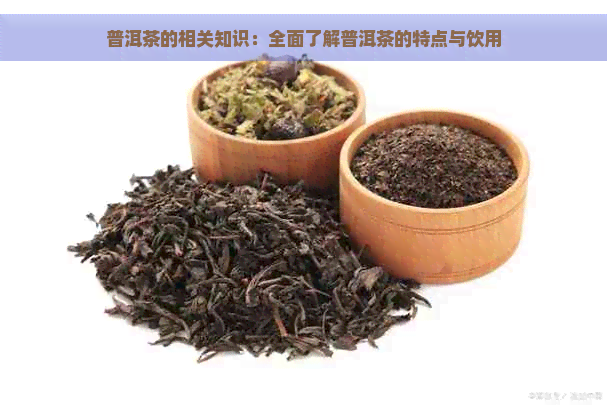 普洱茶的相关知识：全面了解普洱茶的特点与饮用