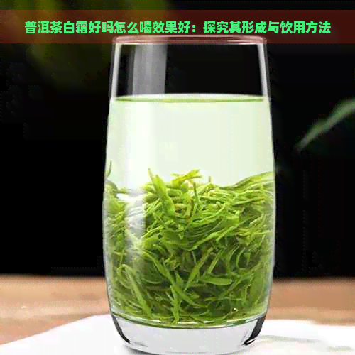 普洱茶白霜好吗怎么喝效果好：探究其形成与饮用方法