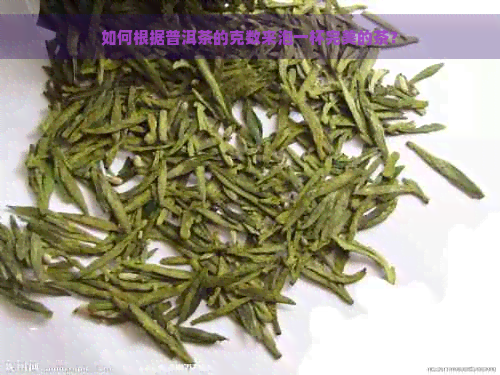 如何根据普洱茶的克数来泡一杯完美的茶？