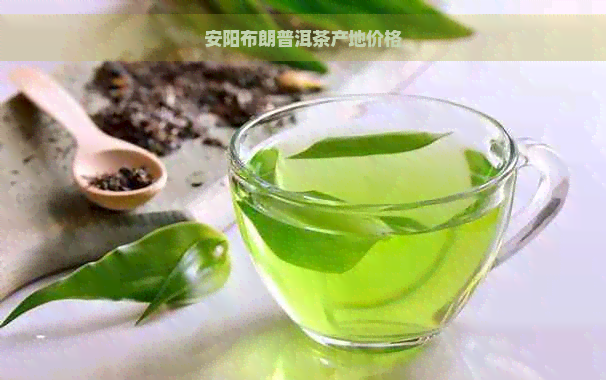 安阳布朗普洱茶产地价格