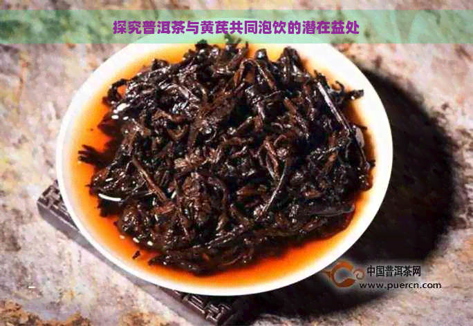 探究普洱茶与黄芪共同泡饮的潜在益处