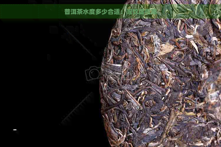 普洱茶水度多少合适：泡饮度指南