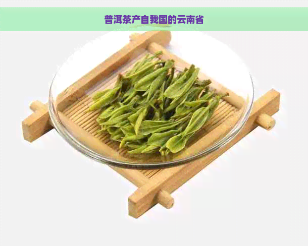 普洱茶产自我国的云南省