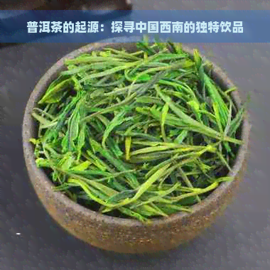 普洱茶的起源：探寻中国西南的独特饮品