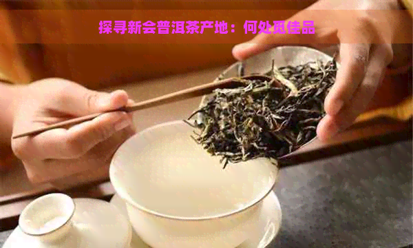 探寻新会普洱茶产地：何处觅佳品