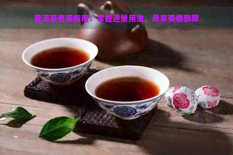 普洱茶煮茶指南：掌握适量用法，尽享茶香醇厚