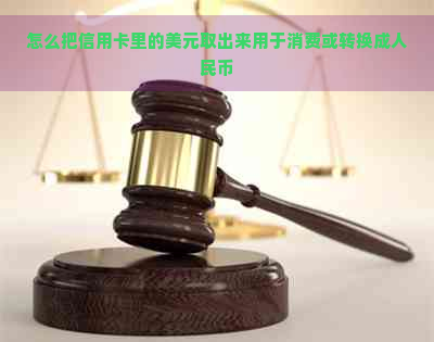 怎么把信用卡里的美元取出来用于消费或转换成人民币