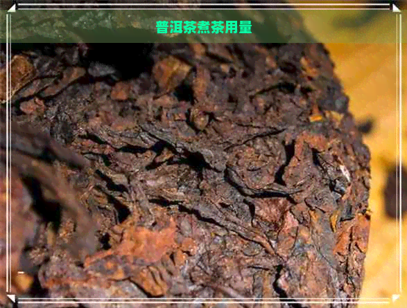 普洱茶煮茶用量