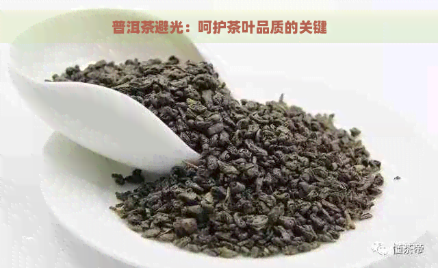 普洱茶避光：呵护茶叶品质的关键