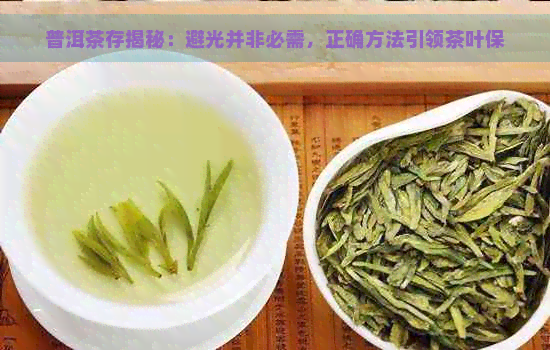 普洱茶存揭秘：避光并非必需，正确方法引领茶叶保