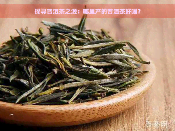 探寻普洱茶之源：哪里产的普洱茶好喝？