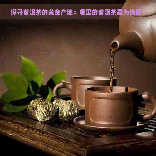 探寻普洱茶的黄金产地：哪里的普洱茶最为优质？