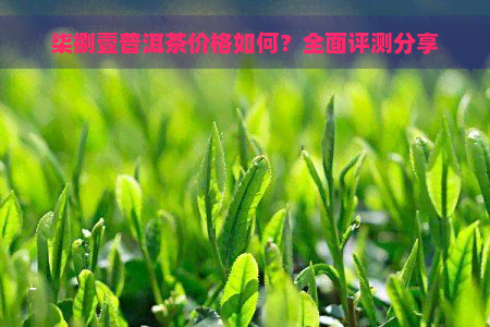 柒捌壹普洱茶价格如何？全面评测分享